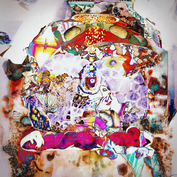 Dream big fish coverart