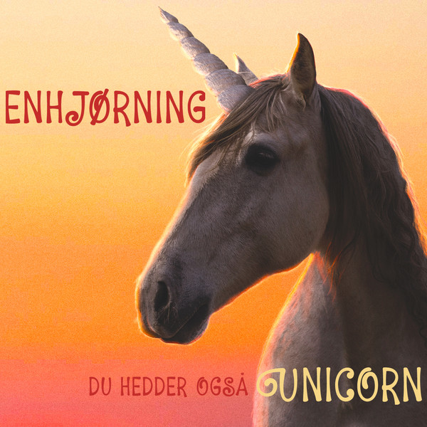 Enhjørning du hedder også unicorn - cover